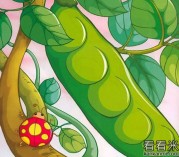 小豌豆天宫闯祸的故事