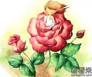 安徒生经典童话：世上最美丽的一朵玫瑰花