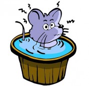 小老鼠玛丽的海龟梦