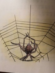 城市里的飞天蜘蛛